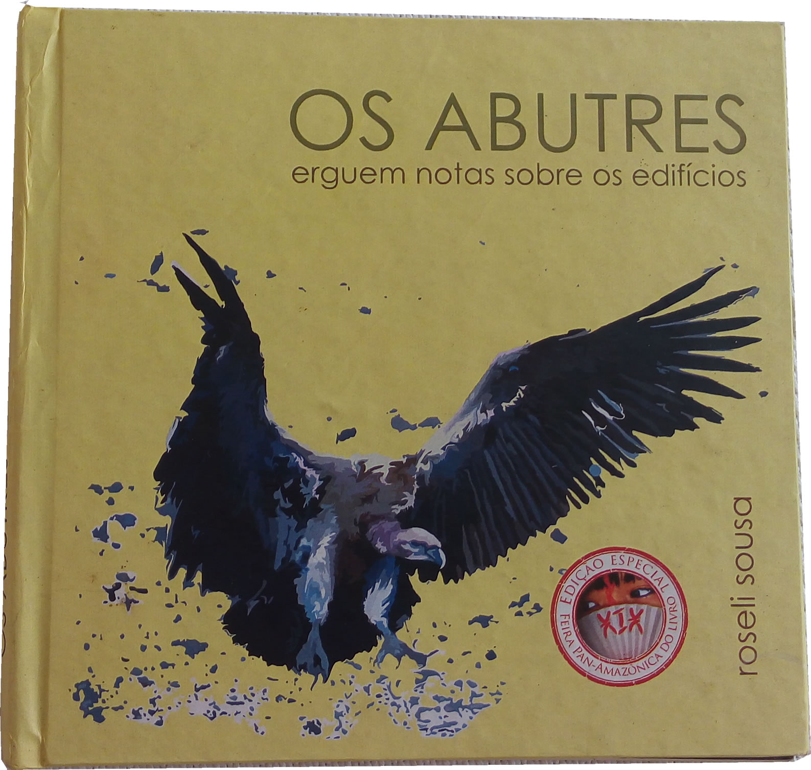 Os abutres erguem notas sobre os edifícios (Paperback)