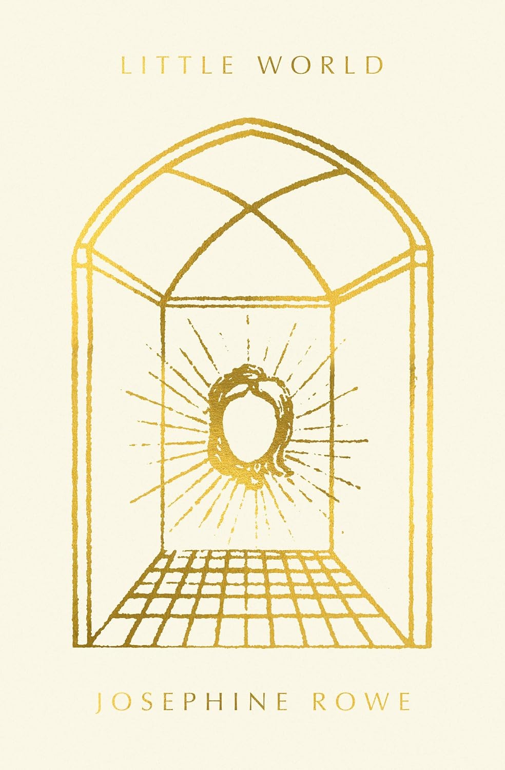 Little World (Hardcover)