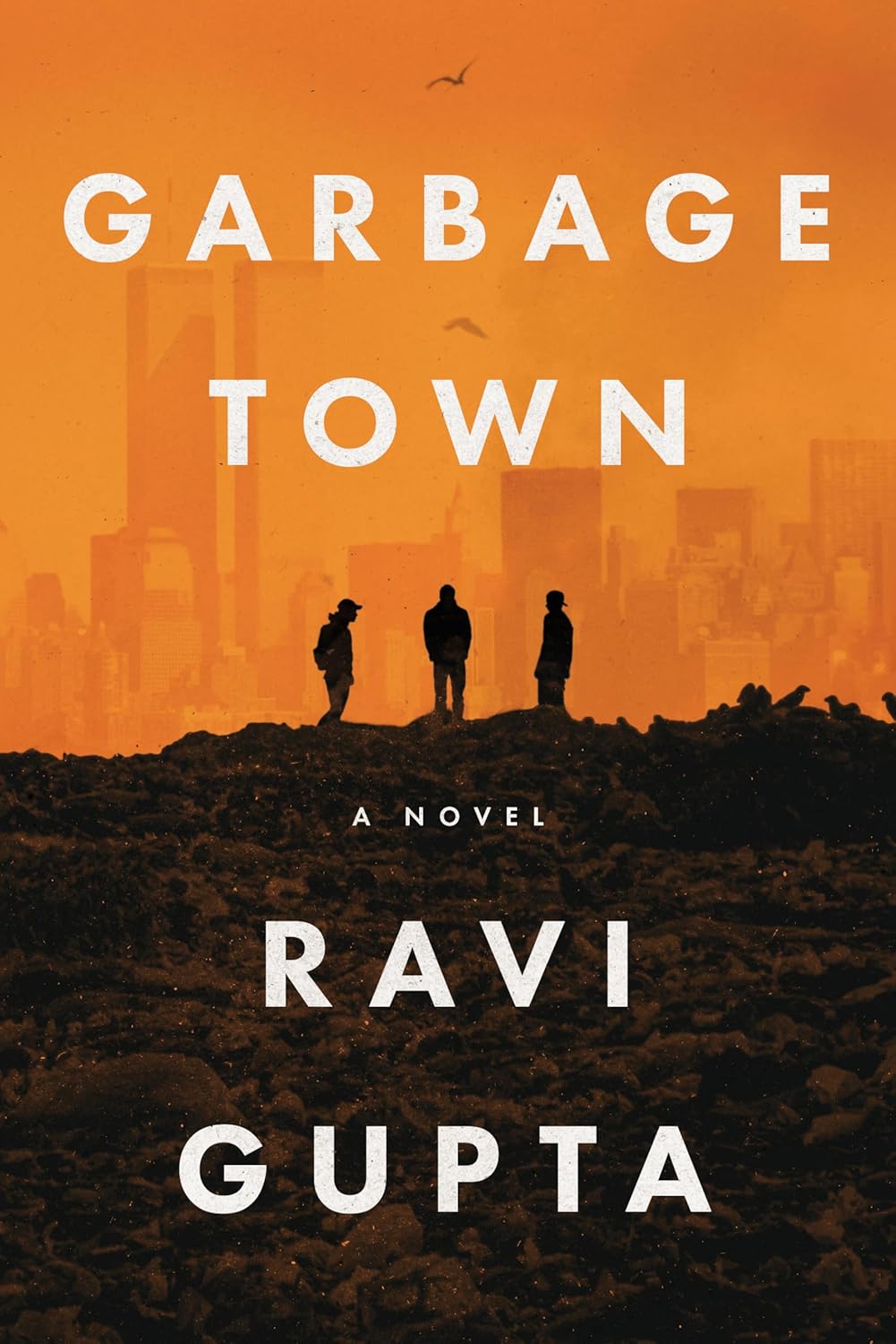 Garbage Town (Hardcover)