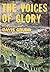 The Voices of Glory by Davis Grubb