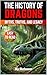 The History of Dragons by Skriuwer