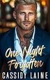 One Night Forgott...