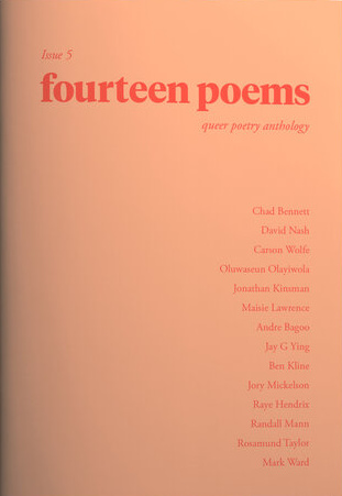 Fourteen Poems Issue 5 (Paperback)