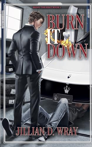 Burn It Down (Bring the Heat, #1)