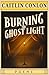 Burning the Ghost Light: Poems