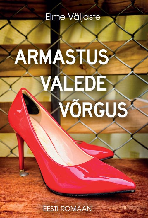 Armastus valede võrgus (Paperback)