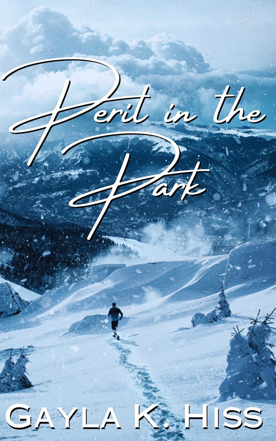 Peril in the Park #1-4 (Kindle Edition)