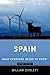 Spain: What Everyone Needs to Know®
