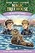 Sea Otter Sunrise (Magic Tree House #40)