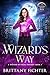 A Wizard's Way by Brittany Fichter