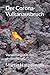 Der Corona-Vulkanausbruch: ...