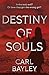 Destiny of Souls (The Souls...