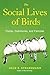 The Social Lives of Birds: Flocks, Communes, and Families