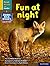 Read Write Inc. Phonics: Fun at night (Yellow Set 5 NF Book Bag Book 8)
