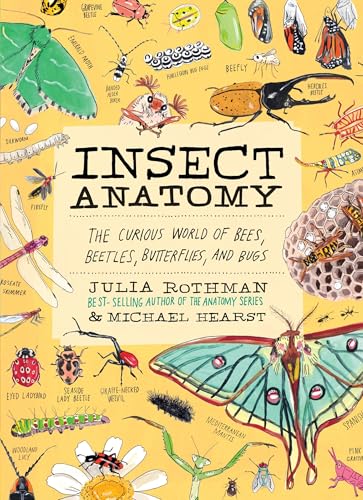 Insect Anatomy: The Curious World of Bees, Beetles, Butterflies, and Bugs (Paperback)