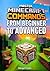 MASTER MINECRAFT COMMANDS From Beginner to Advanced by Rodrigo B. Santos MASTER MINECRAFT COMMANDS From Beginner to Advanced by Rodrigo B. Santos