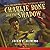 Charlie Bone and the Shadow (Children of the Red King #7)