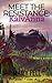 Meet the Resistance: KalvAn...