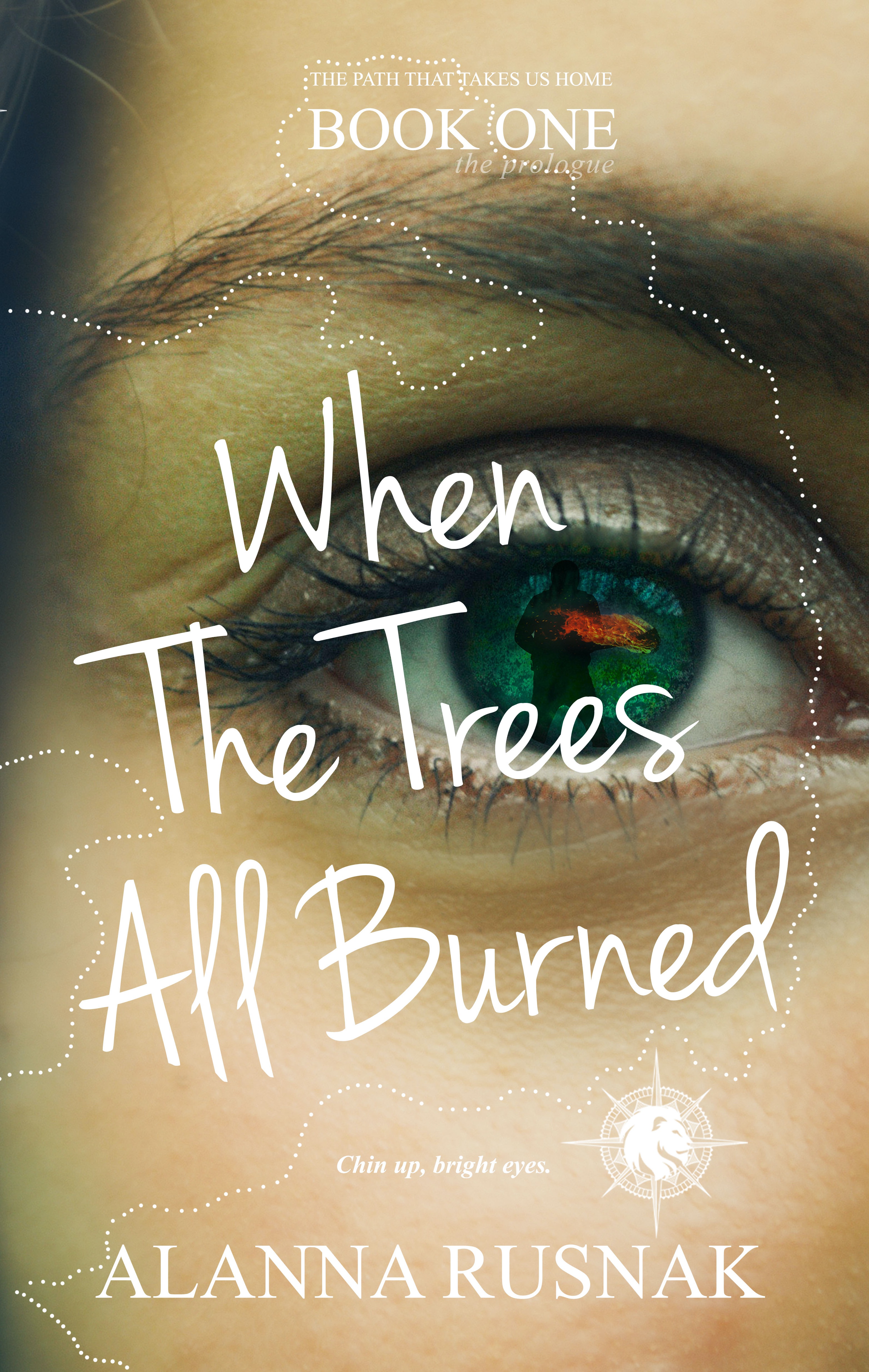 When The Trees All Burned (Paperback)