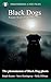 Black Dog ghosts by Ralph Keeton