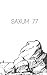 Saxum 77