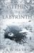 Within the Labyrinth by S.L.  Hayes