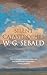 Silent Catastrophes: Essays on Literature, 1972-1989