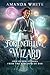 The Fortunetelling Wizard by Amanda White