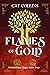 Flames of Gold (Diminishing Magic #2)