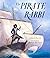 The Pirate Rabbi by David Sherrin