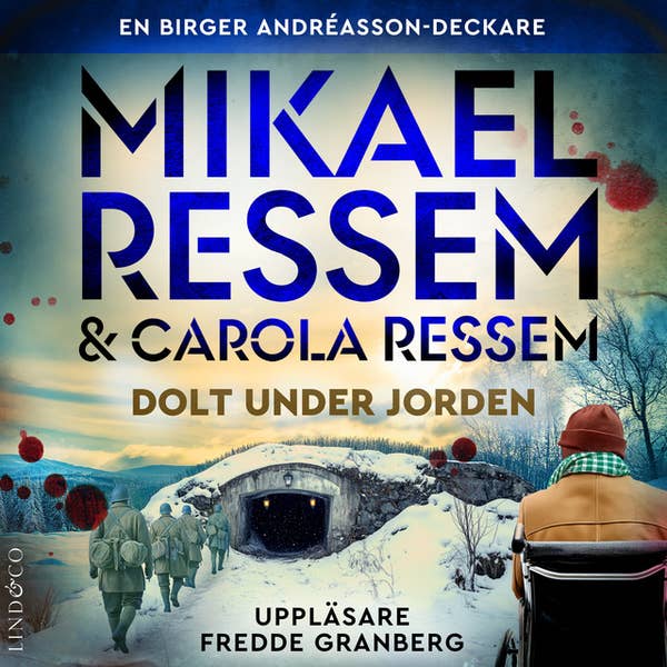 Dolt under jorden (Birger Andréasson #2)