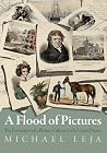 A Flood of Pictur...