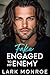 Fake Engaged to My Enemy