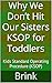Why We Don’t Hit Our Sisters – KSOP for Toddlers by Jason Brink