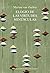 Elogio de las virtudes minúsculas (Spanish Edition)