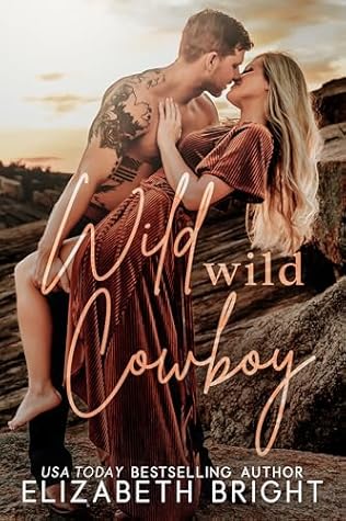 Wild Wild Cowboy (Lodestar Ranch #3)