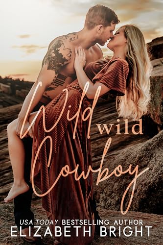 Wild Wild Cowboy (Lodestar Ranch #3)