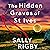 The Hidden Graves of St Ives (A Cornwall Murder Mystery, #2)