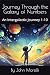 Journey Through the Galaxy ...
