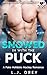 Snowed In With the PUCK (Love on Ice)