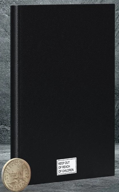 The Sketchbooks of Nick Blinko (Hardcover)