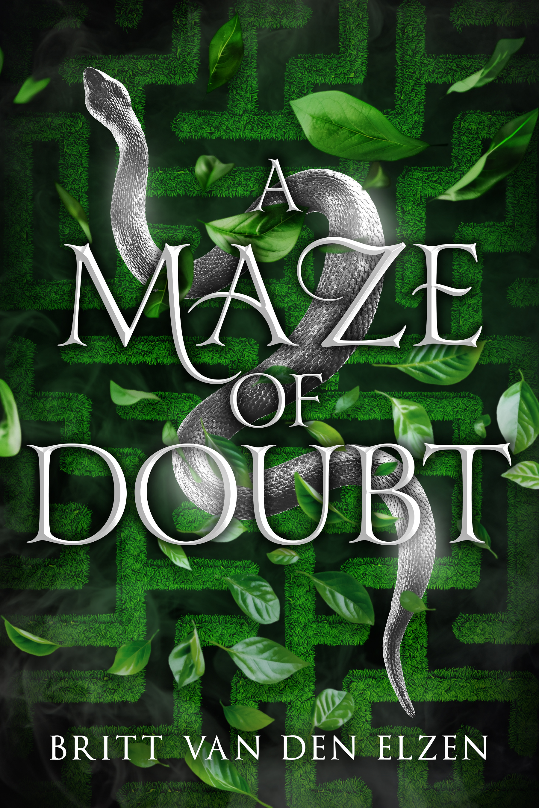A Maze of Doubt (A Web of Lies #2)