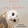 What an Owl Knows