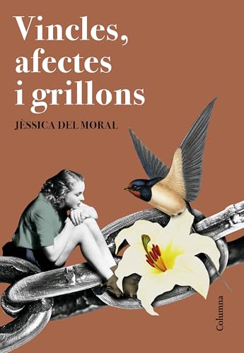 Vincles, afectes i grillons (Paperback)