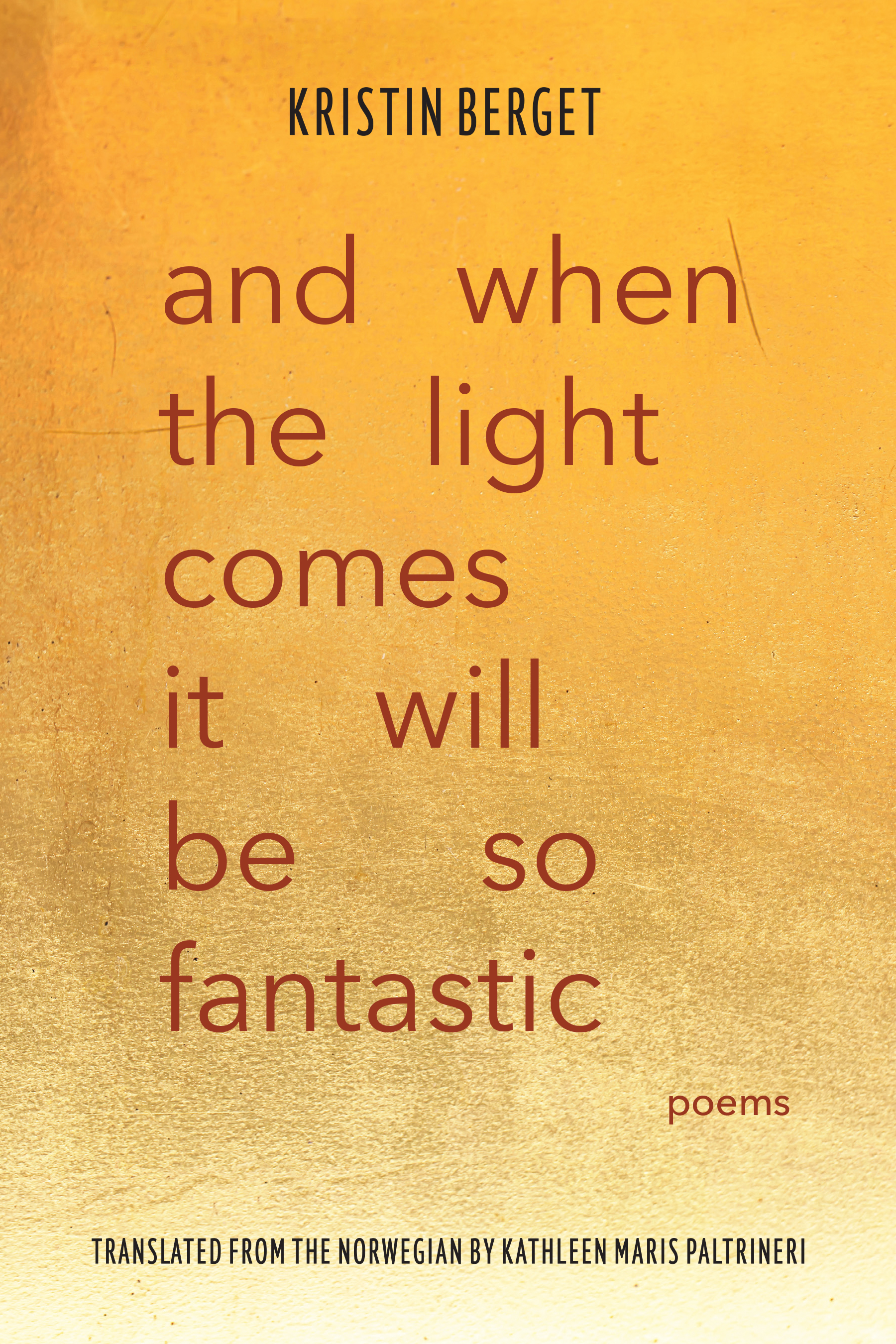 and when the light comes it will be so fantastic: poems