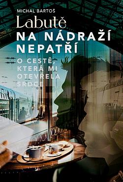 Labutě na nádraží nepatří (Hardcover)