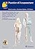 Practice of Acupuncture: Point Location - Treatment Options - TCM Basics