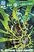 Green Lantern (2023-) #20 by Jeremy Adams Green Lantern (2023-) #20 by Jeremy Adams