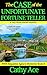 The Case of the Unfortunate Fortune Teller a cozy Welsh murder mystery full of twists (WISE Enquiries Agency Mysteries Book 11)