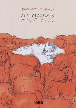 Les moutons veulent du sel (Hardcover)